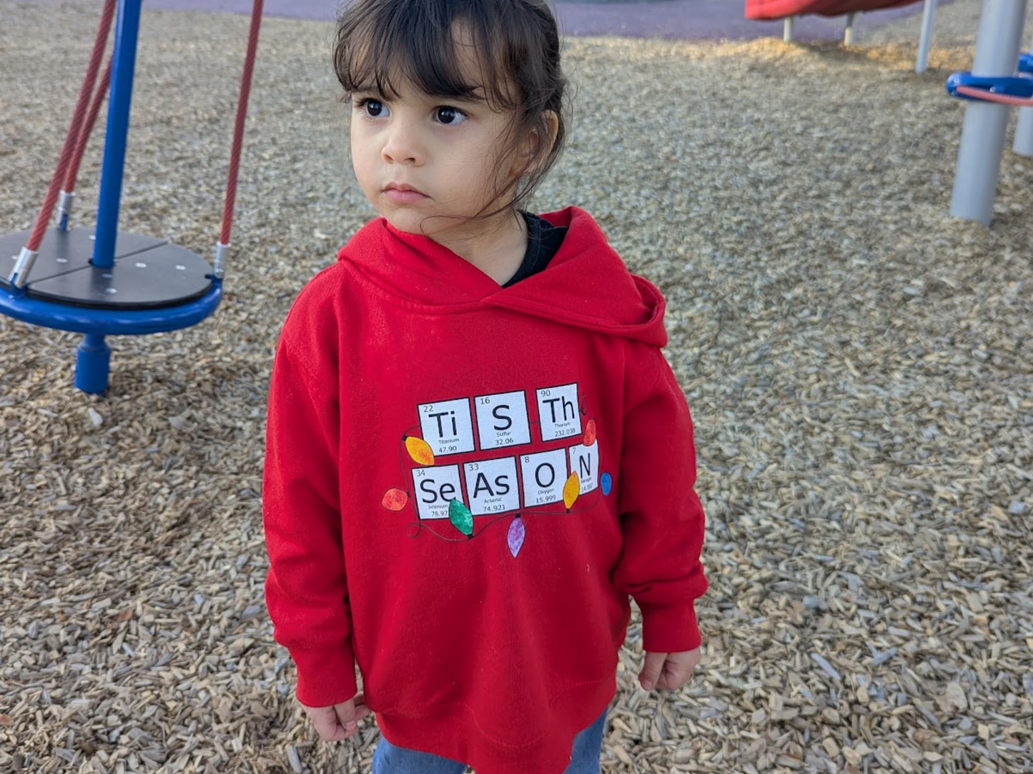 Periodic Table Family Matching Red Holiday Sweatshirt