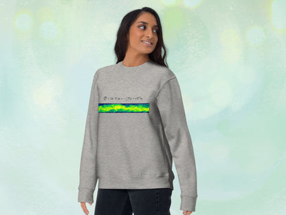 Navier-Stokes Unisex Sweatshirt, Geeky Pullover Jersey for Flow Physics Fluid Mechanics, Fleece Interior Cotton Sweater, Gift for Physicist