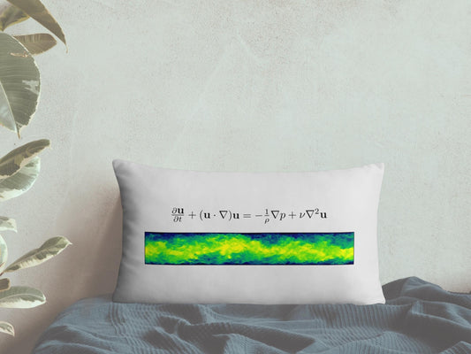 Navier Stokes Turbulence Pillow - Science Pillows