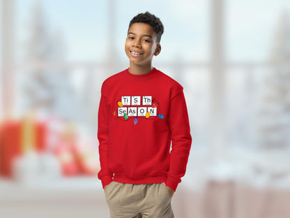 Periodic Table Family Matching Red Holiday Sweatshirt